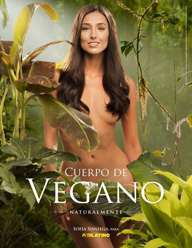 Sofía Sisniega, “Club de Cuervos”