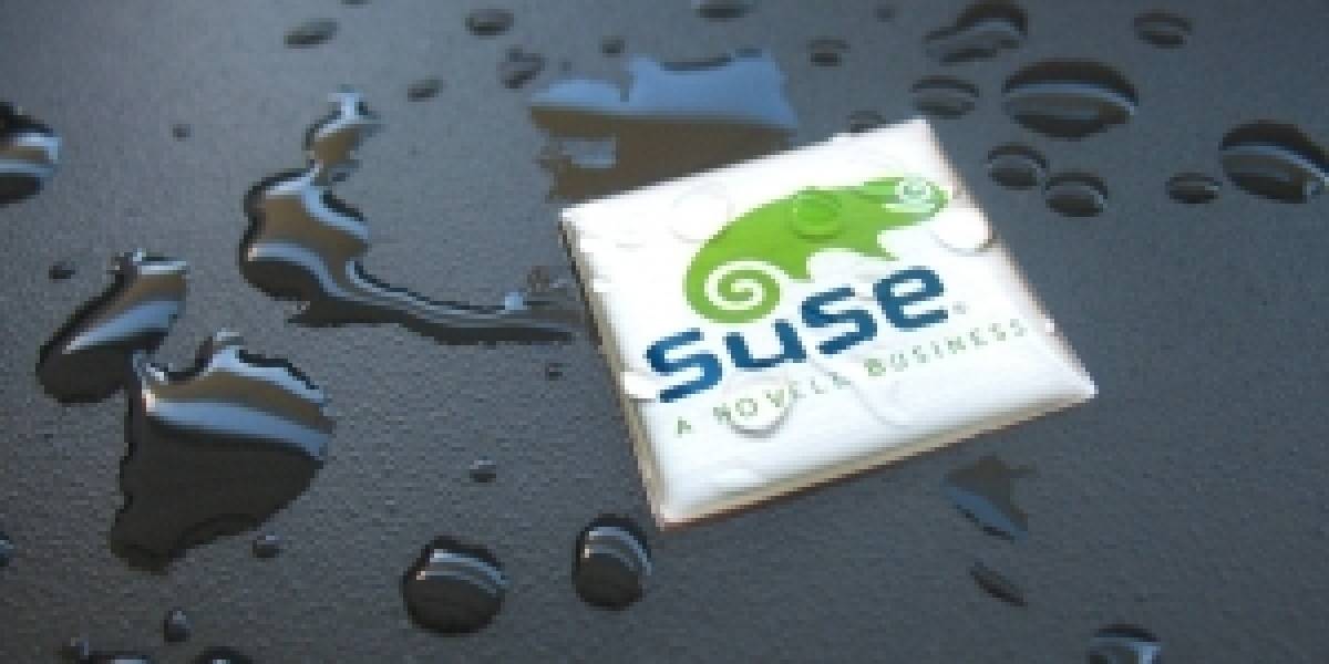 Futurología: VMWare compraría SuSE Linux a Novell