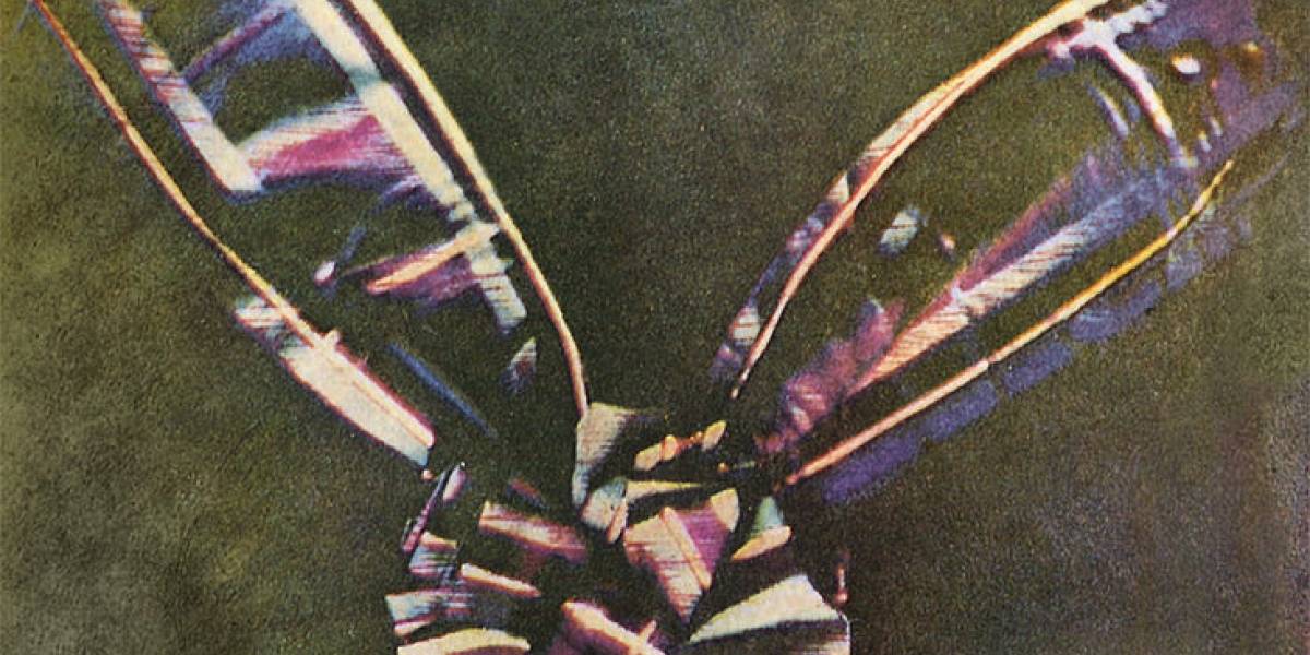 El origen de... la fotografía a color