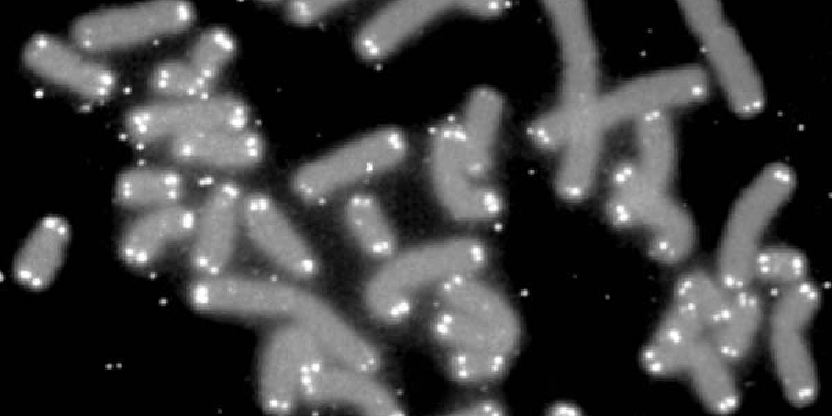 Polémico test promete revelar cuánto tiempo de vida te queda