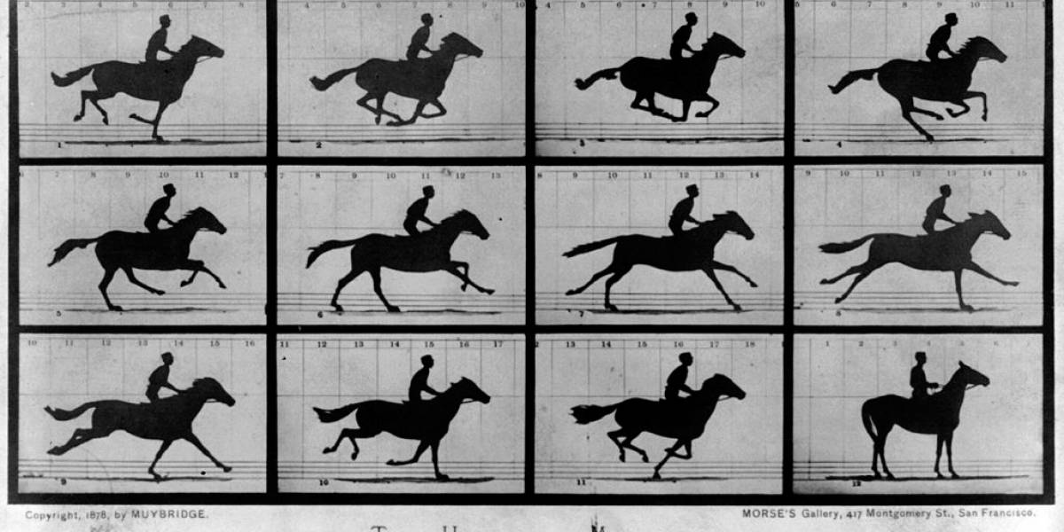 Sigue los GIFs animados más compartidos en Twitter en tiempo real