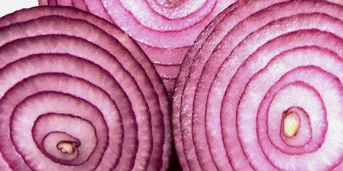 Tor quiere reducir su dependencia al dinero del gobierno estadounidense
