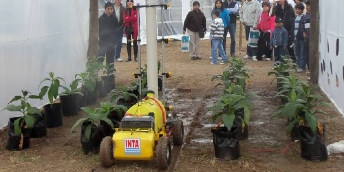 Argentina: Desarrollan un robot que optimiza la producción en invernaderos