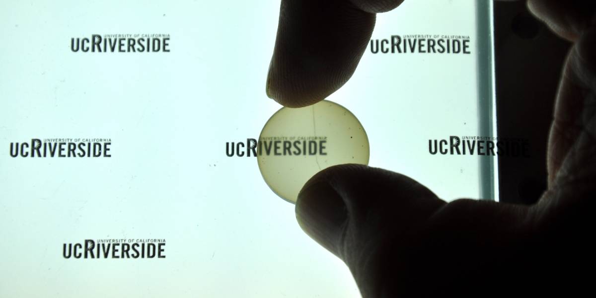 Desarrollan implante craneal transparente para ver directamente al cerebro
