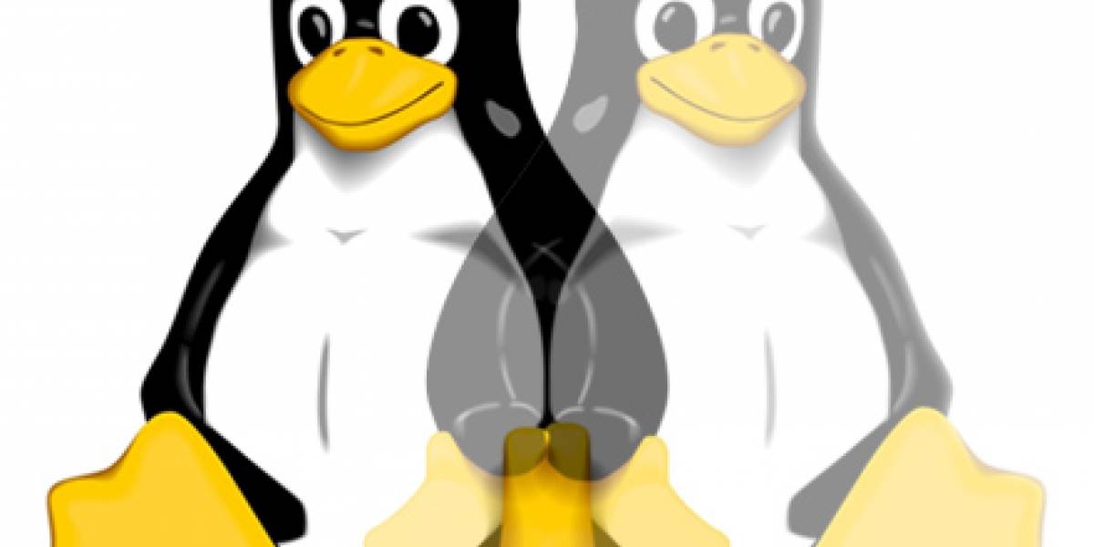 Kernel de Linux será distribuido a través de GitHub hasta que Kernel.org esté asegurado
