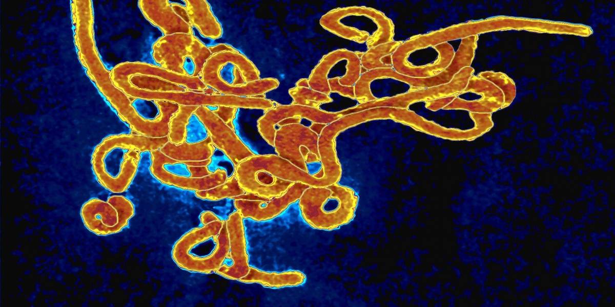 El dominio ebola.com es vendido en 200 mil dólares