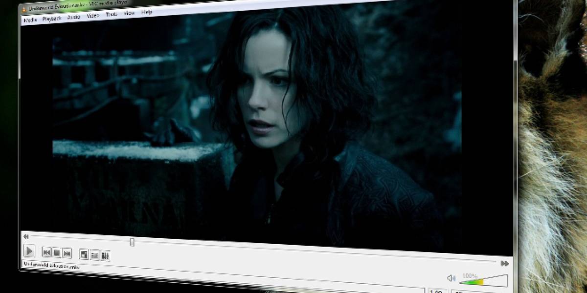 VLC prepara transmisión de video vía BitTorrent en tiempo real