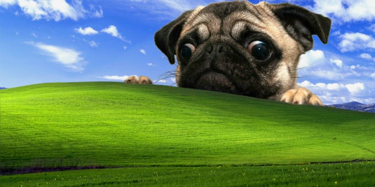 Windows 10 crece rápido y XP disminuye su cuota de mercado