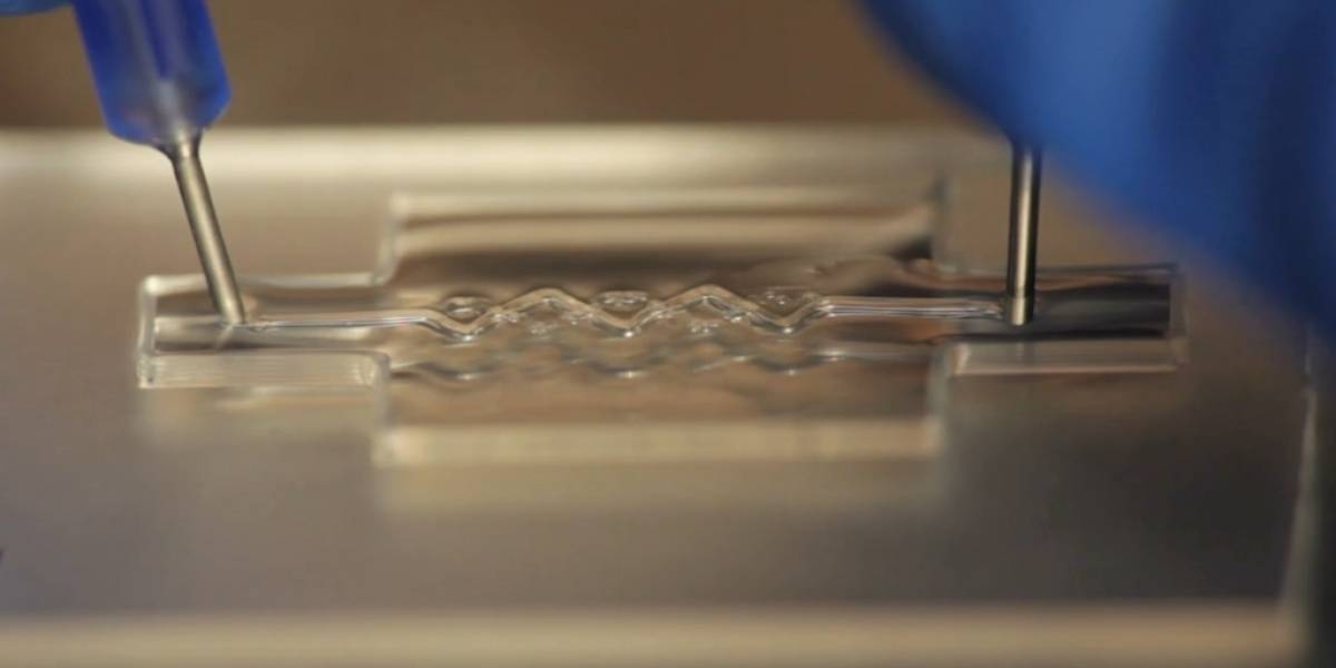 Perfeccionan bioimpresión 3D para hacer vasos sanguíneos artificiales
