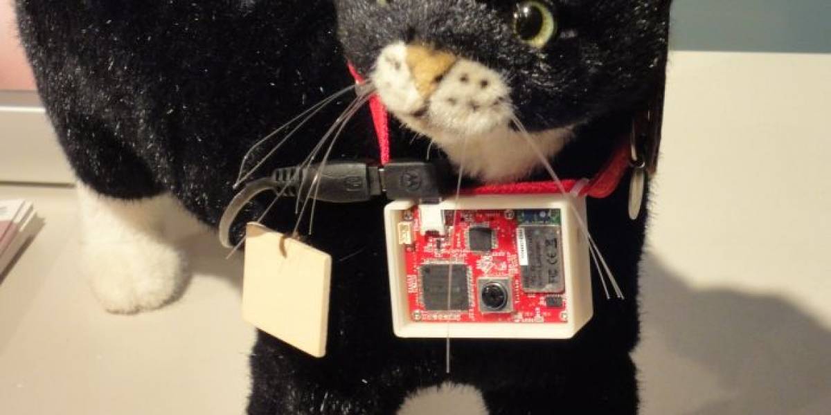 Cat@Log: Sony hace que los gatos manden "tweets"