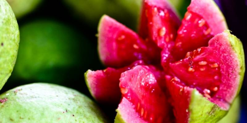 cual es la fruta con mas vitamina a