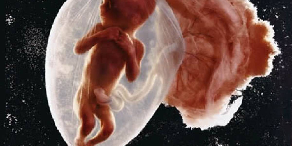 Tener bebés en el espacio podría ser peligroso