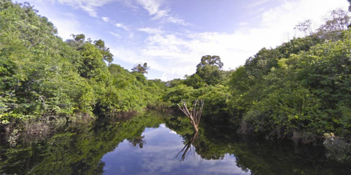 Ahora podrás ver la Amazonía en primera persona con Google Street View