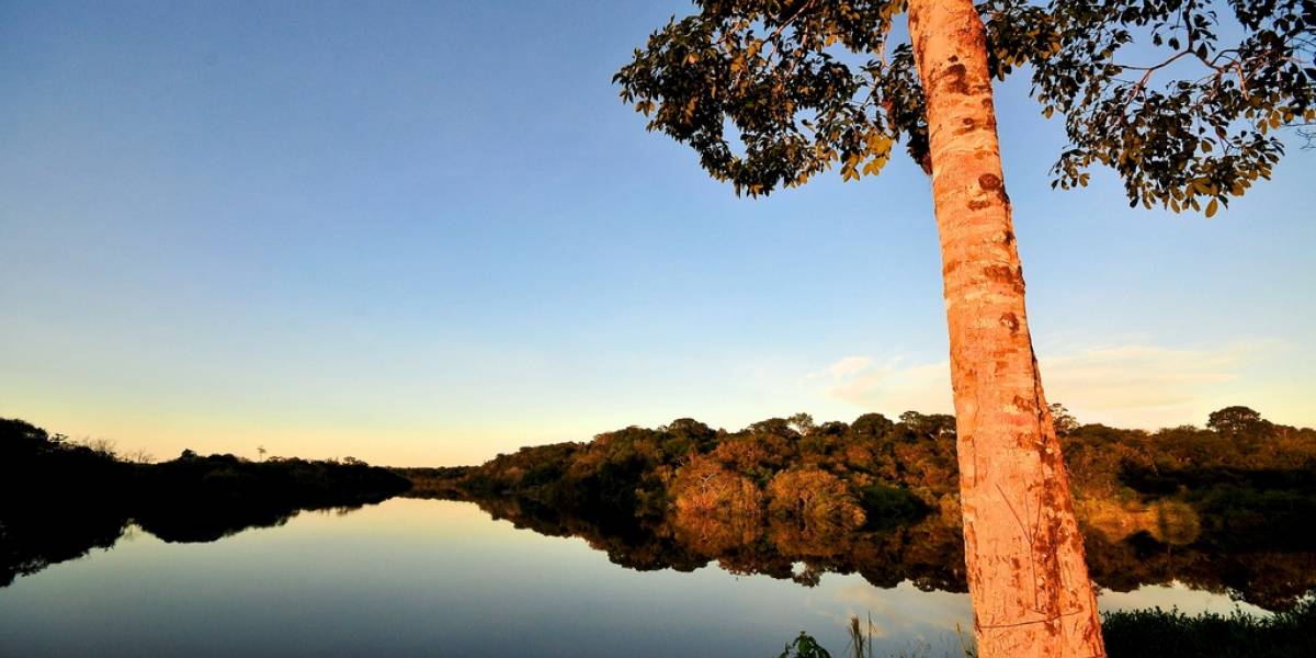 Latinoamérica protesta para que el dominio .amazon corresponda al río Amazonas