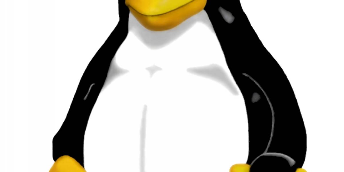 Ya disponible Linux 2.6.38 con rendimiento mejorado