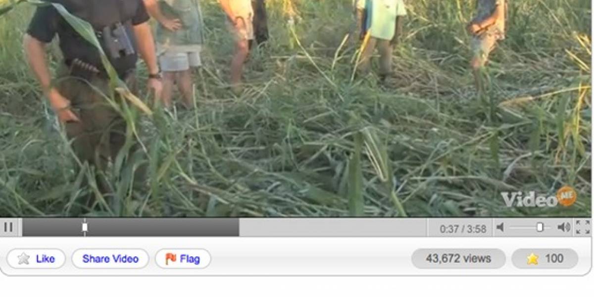 Impresentable: El CEO de GoDaddy mata un elefante y sube el video a internet