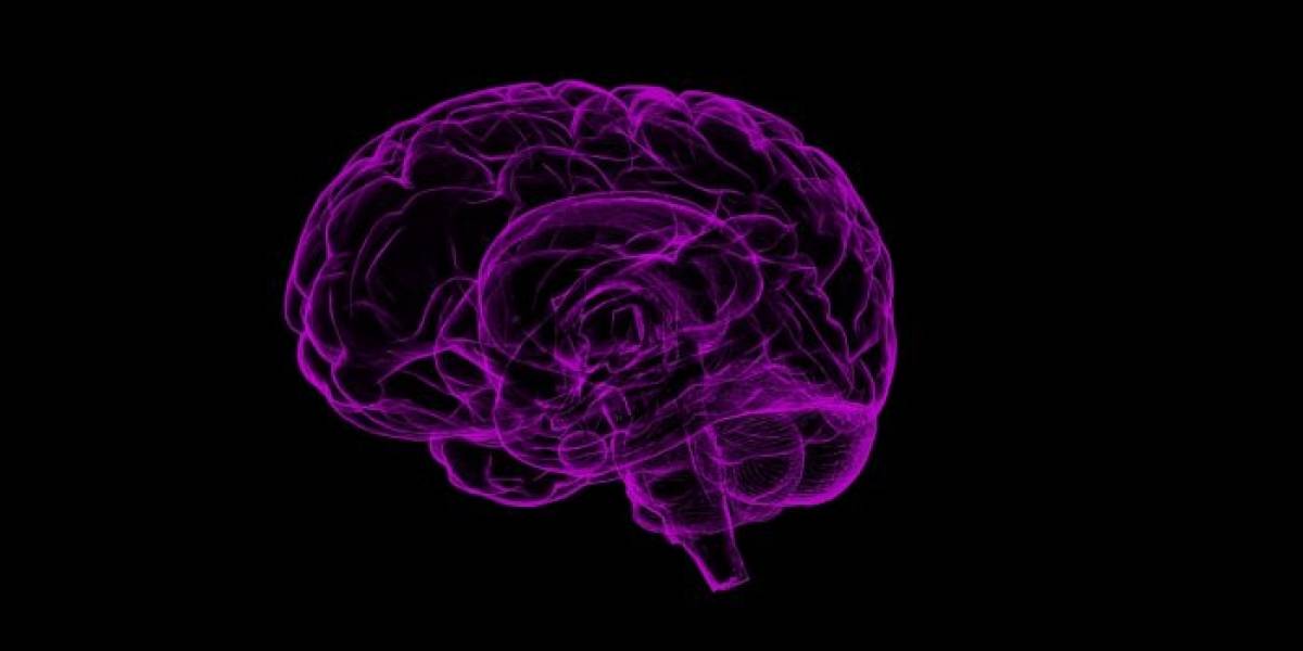 Tu cerebro tiene un ‘botón para borrar’ y así puedes usarlo