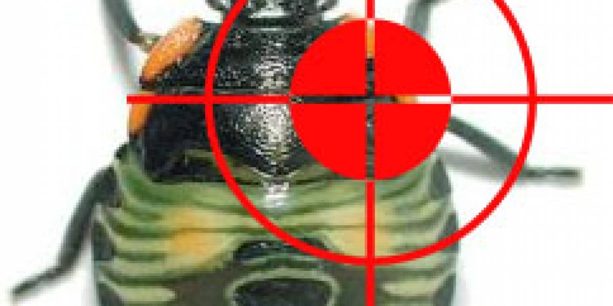 Mozilla dará 3 mil dólares a quién encuentre bugs en Firefox