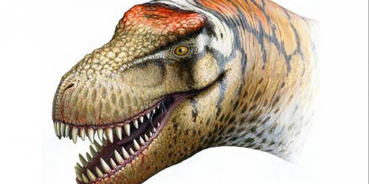 Descubren al primo chino del Tiranosaurio Rex