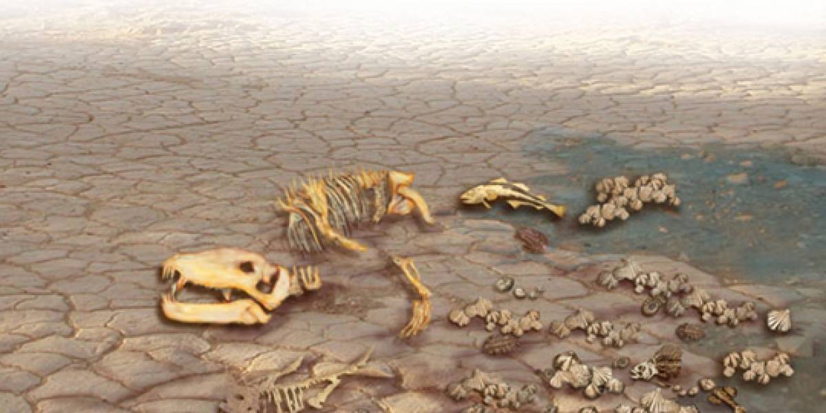 Científicos tratan de determinar si la vida en la Tierra se está extinguiendo