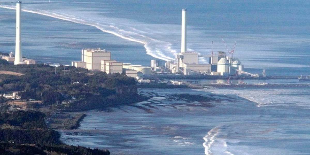 Autoridades japonesas estudiarán el impacto radioactivo a la flora y fauna cercana a Fukushima