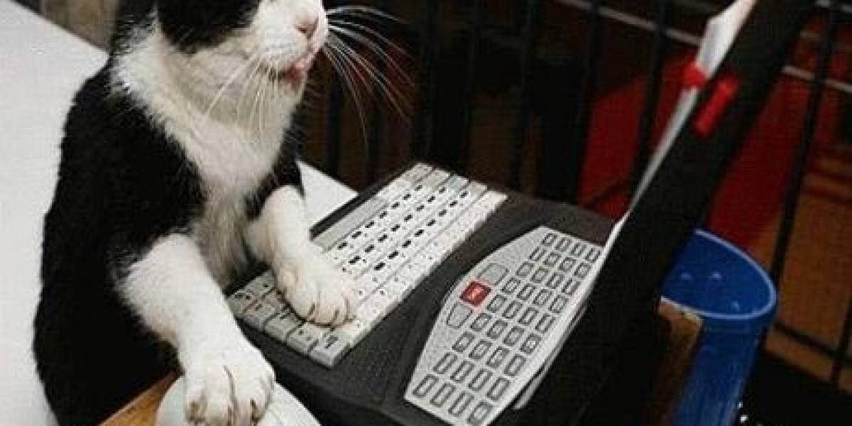 Chile: 7.1 millones de personas se conectaron en mayo, la mayoría entró a Google