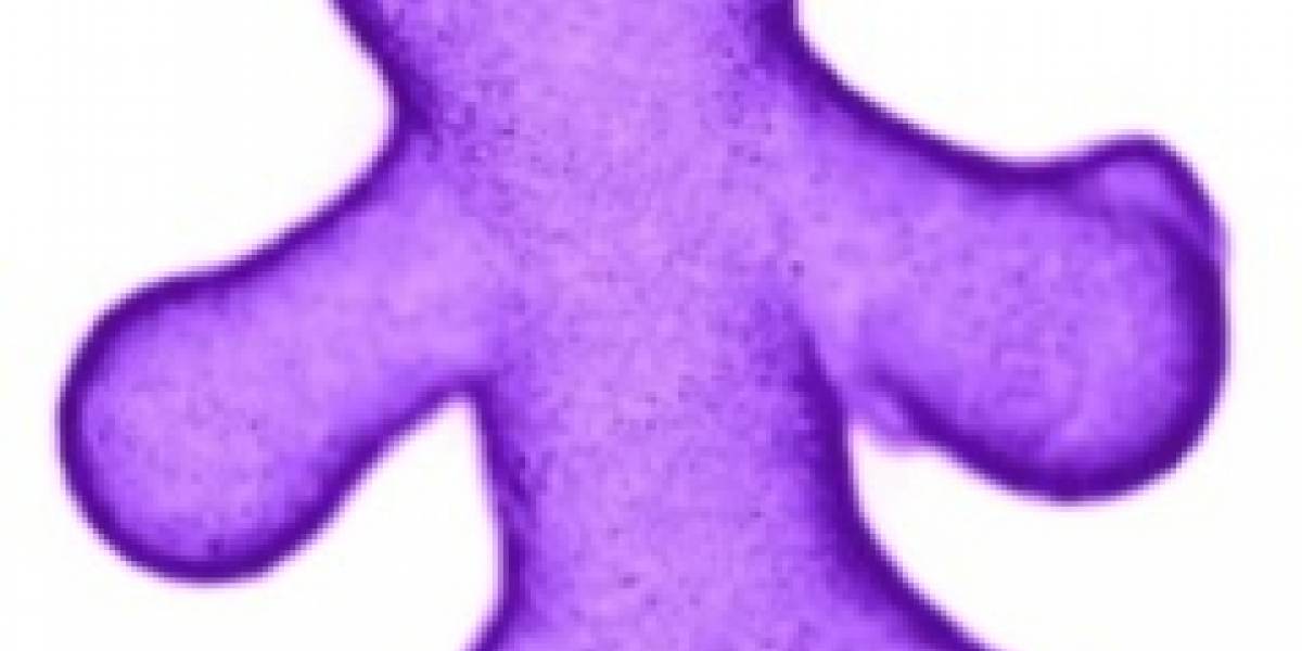 Científicos japoneses crean un "muñeco" hecho de células vivas