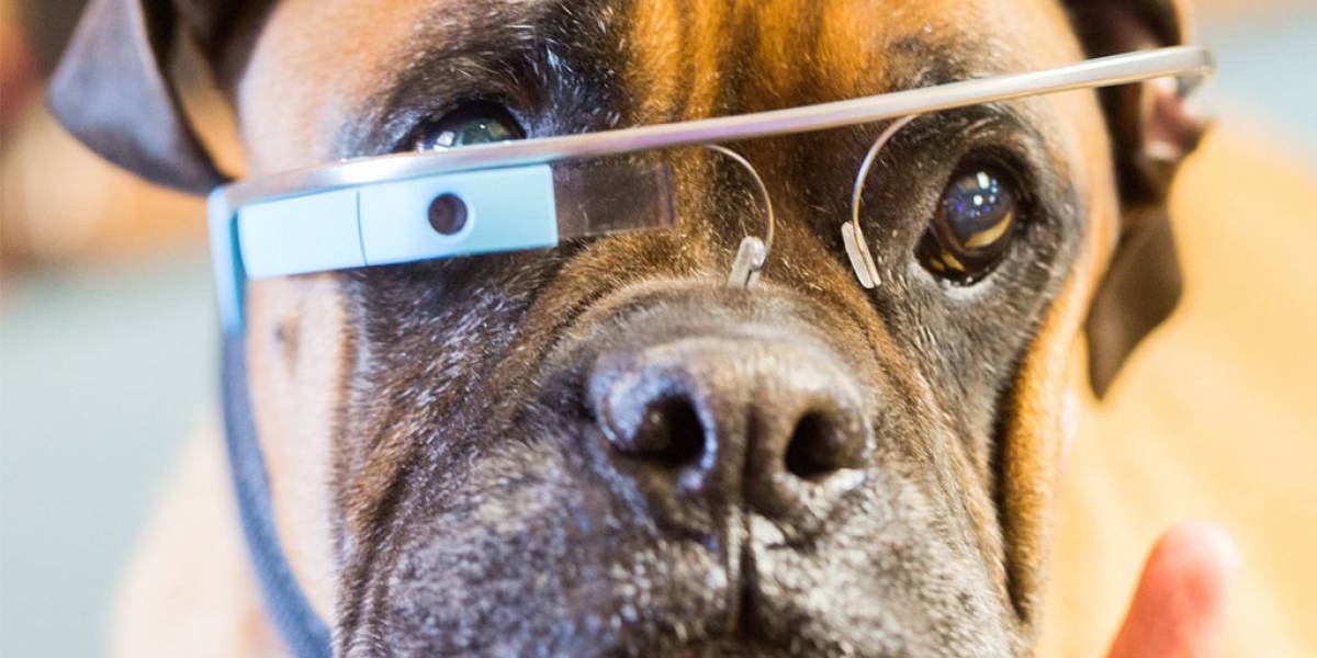 Google Glass podría tener una versión para perros