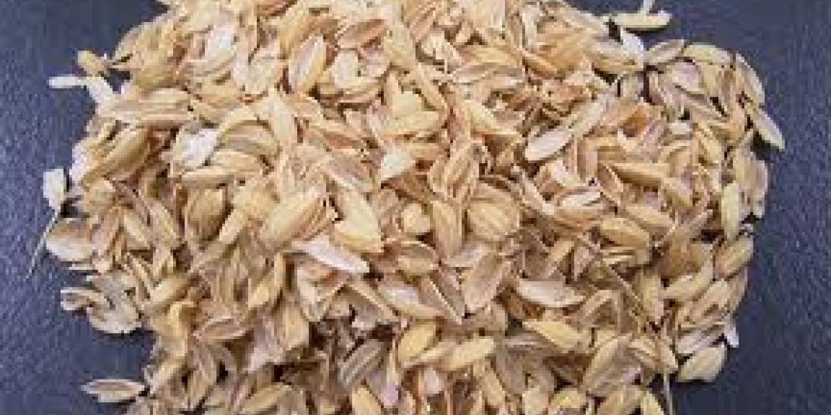 Logran extraer silicio apto para baterías de la cáscara del arroz