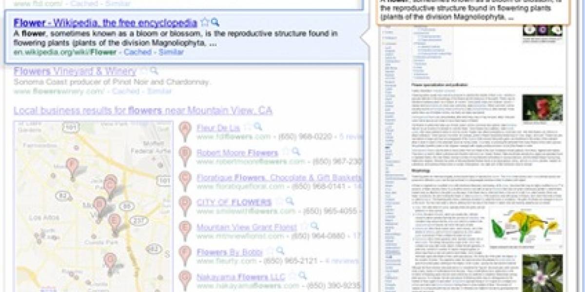 Google lanza vista previa de resultados de búsqueda