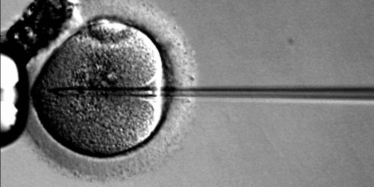 El padre de la Fecundación In Vitro gana el Nobel de Medicina