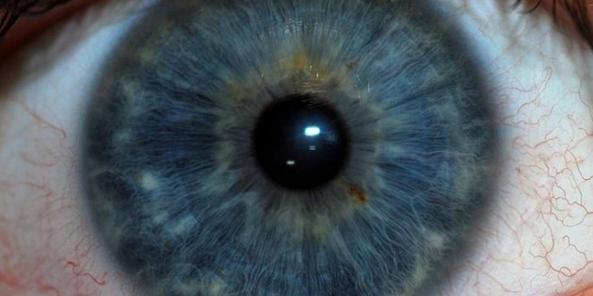 Optimizan sistema de reconocimiento del iris en movimiento