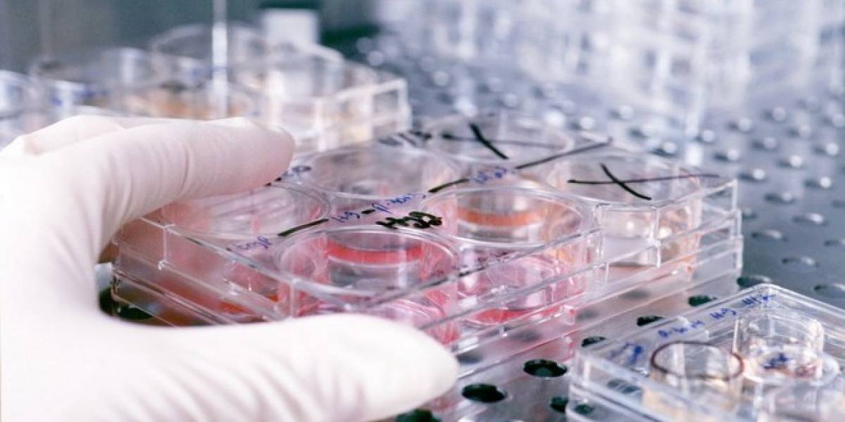 México: Cinvestav pone en funcionamiento el Laboratorio Nacional de Servicios Experimentales