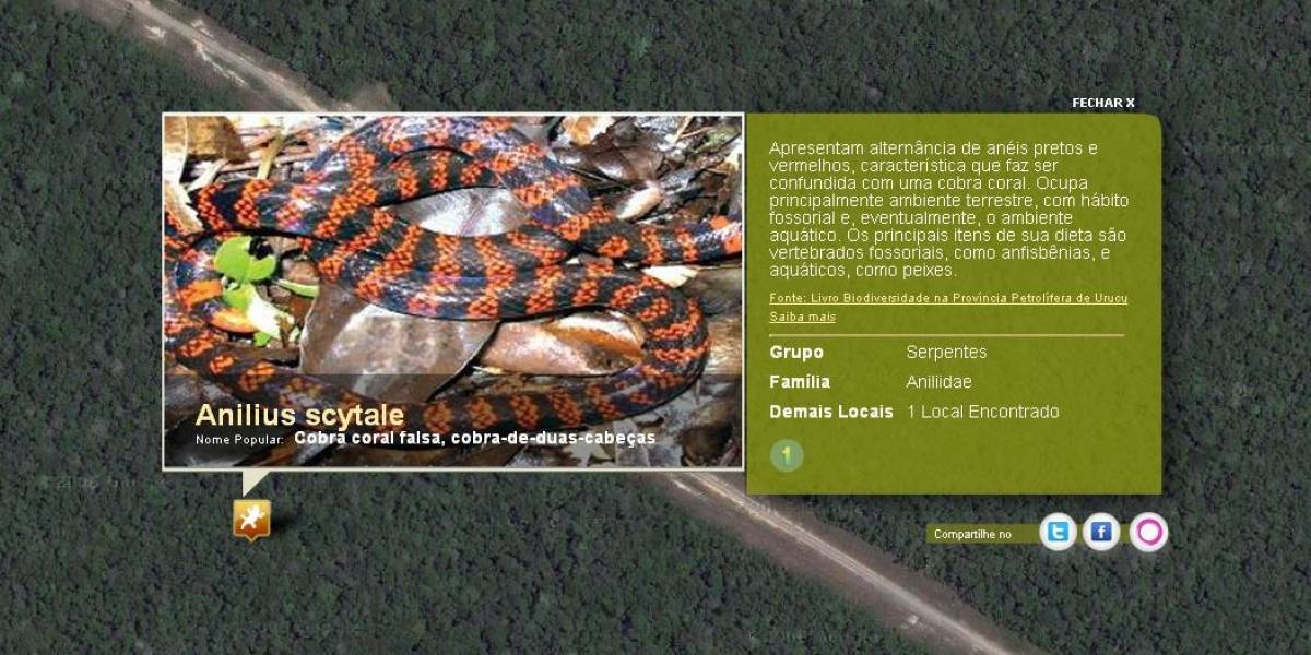 Mapa de Google con la flora y fauna del Amazonas