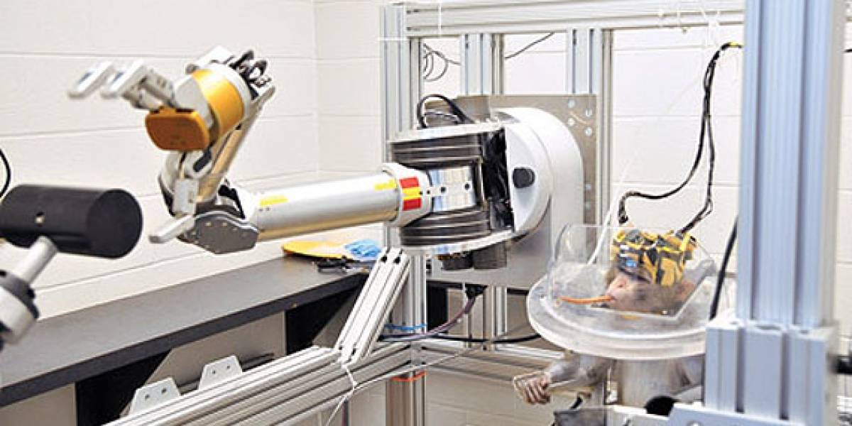 Simio controla brazo y mano robot con el cerebro (Video)