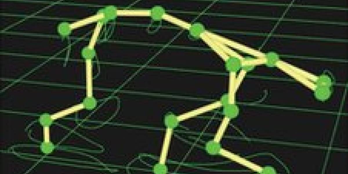Científicos estudian a perros de 3 patas para el desarrollo de robots