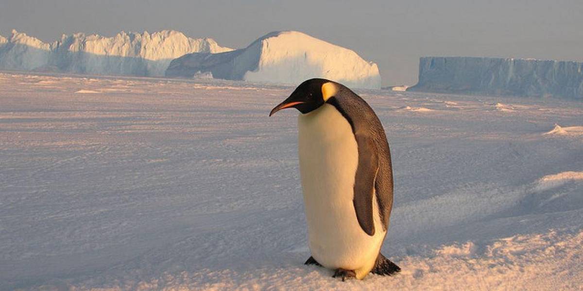 Google Street View llega a la Antártica