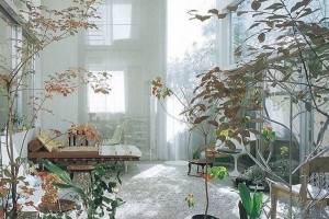 Decoración