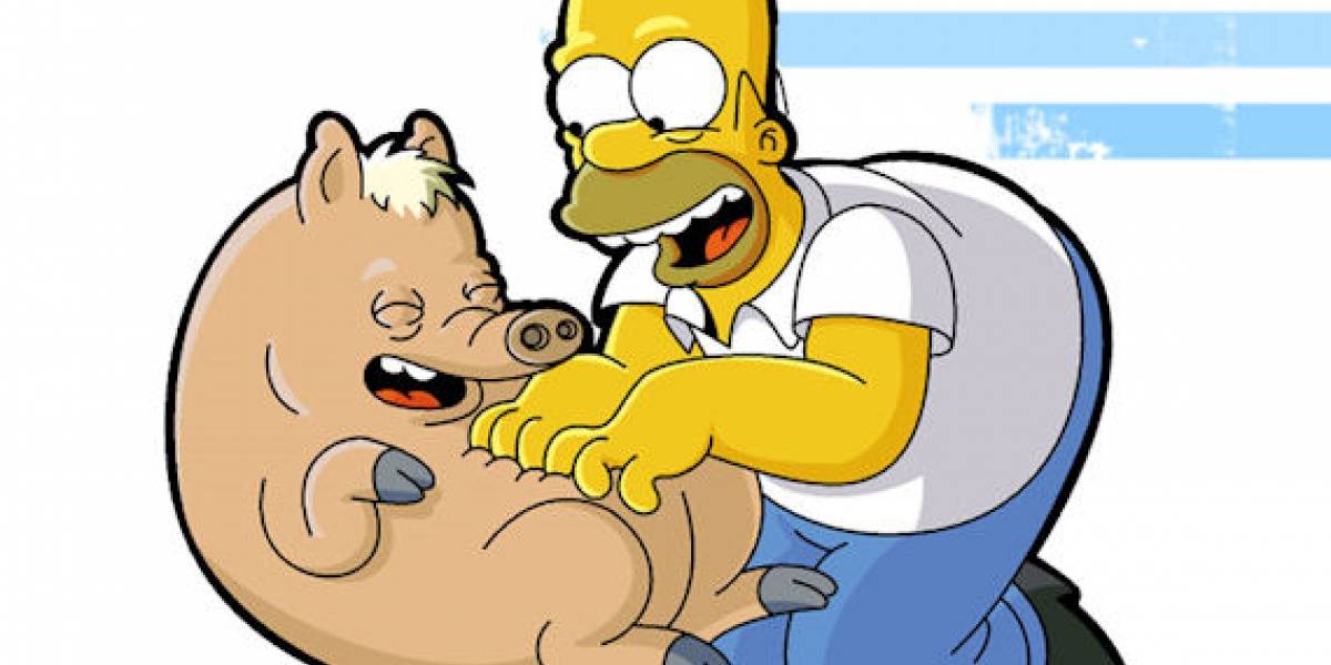 Cerdos modificados genéticamente podrían ser donantes de órganos