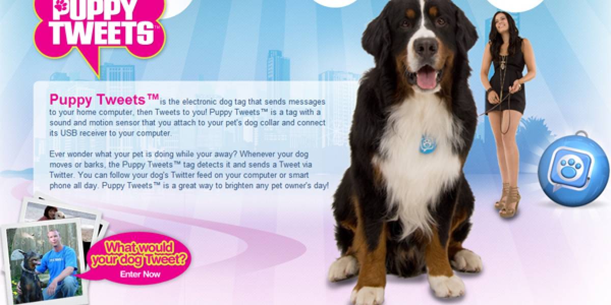 Los perros ya pueden escribir tweets