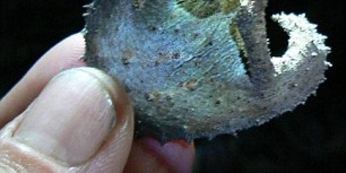 Encuentran "paraíso perdido" con Google Earth