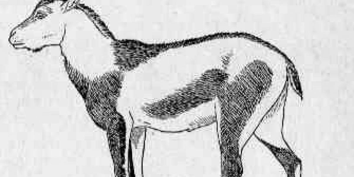 Científicos resucitan animal extinto vía clonación