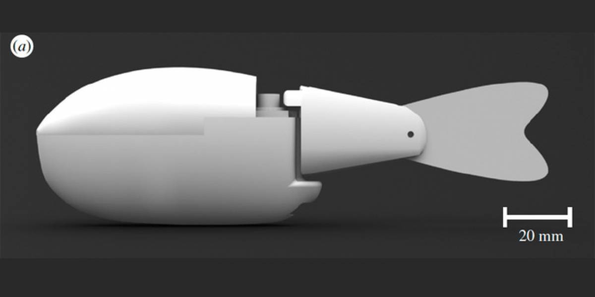 Pez robot engaña a peces reales para que lo sigan