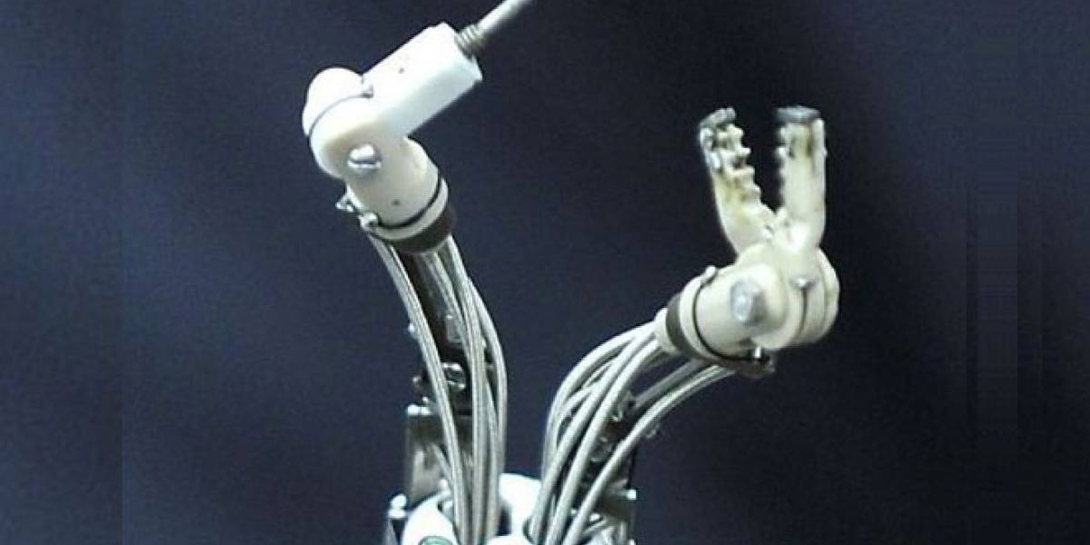 Un robot cangrejo atacará el cáncer de estómago