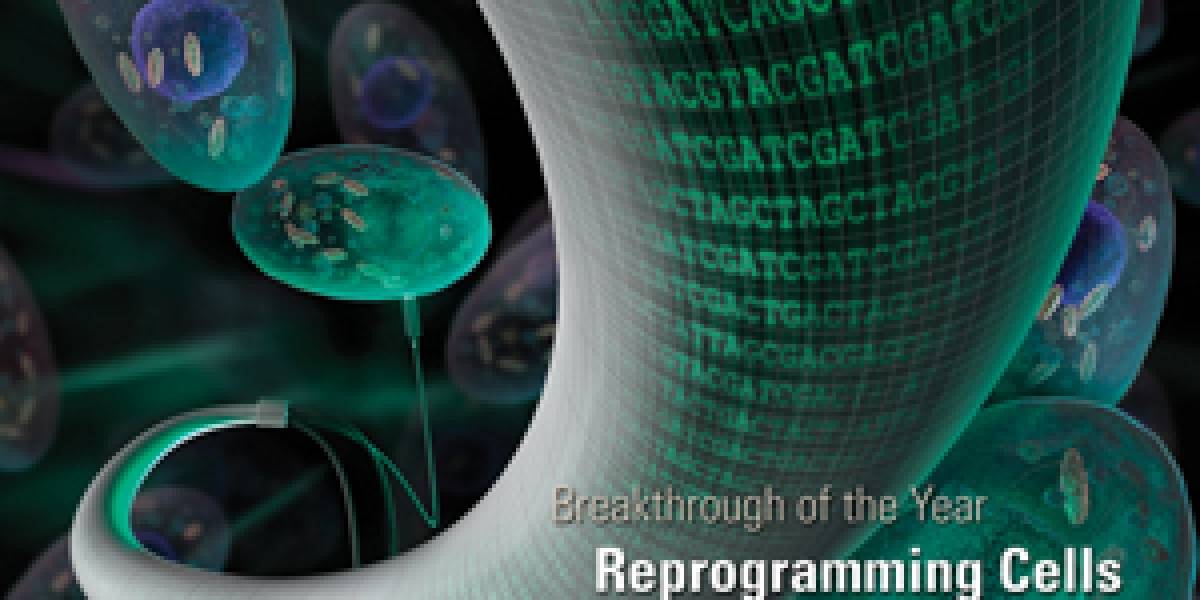Reprogramación celular: Avance del año según revista Science