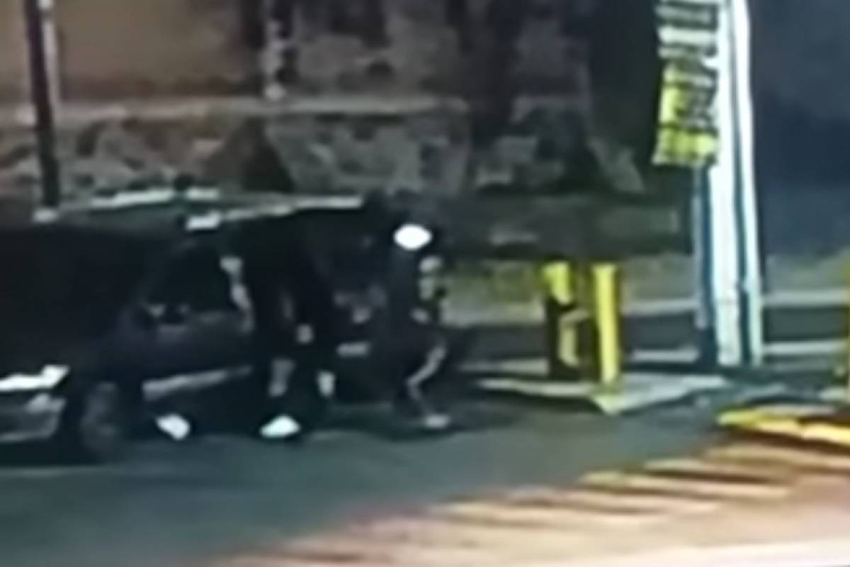 Asesinan a empresario en Guanajuato tras persecución, intentaban secuestrarlo Asesinan a empresario en Guanajuato tras persecución, intentaban secuestrarlo