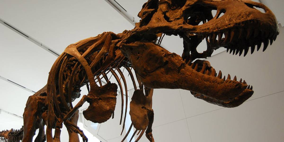 El cráneo de un dinosaurio reconstruido en 3D