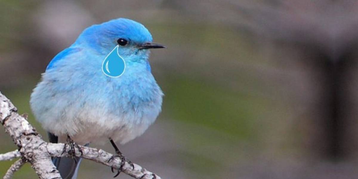 Twitter es demandado por TWiT, un podcast de tecnología