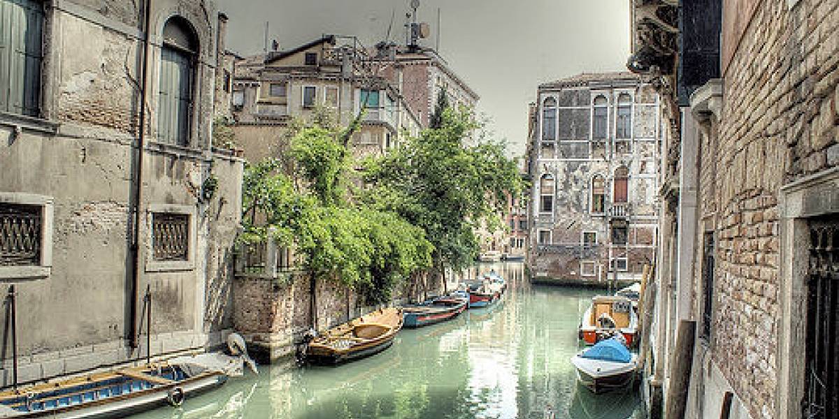 Venecia obtendrá el 50% de su energía eléctrica de las algas