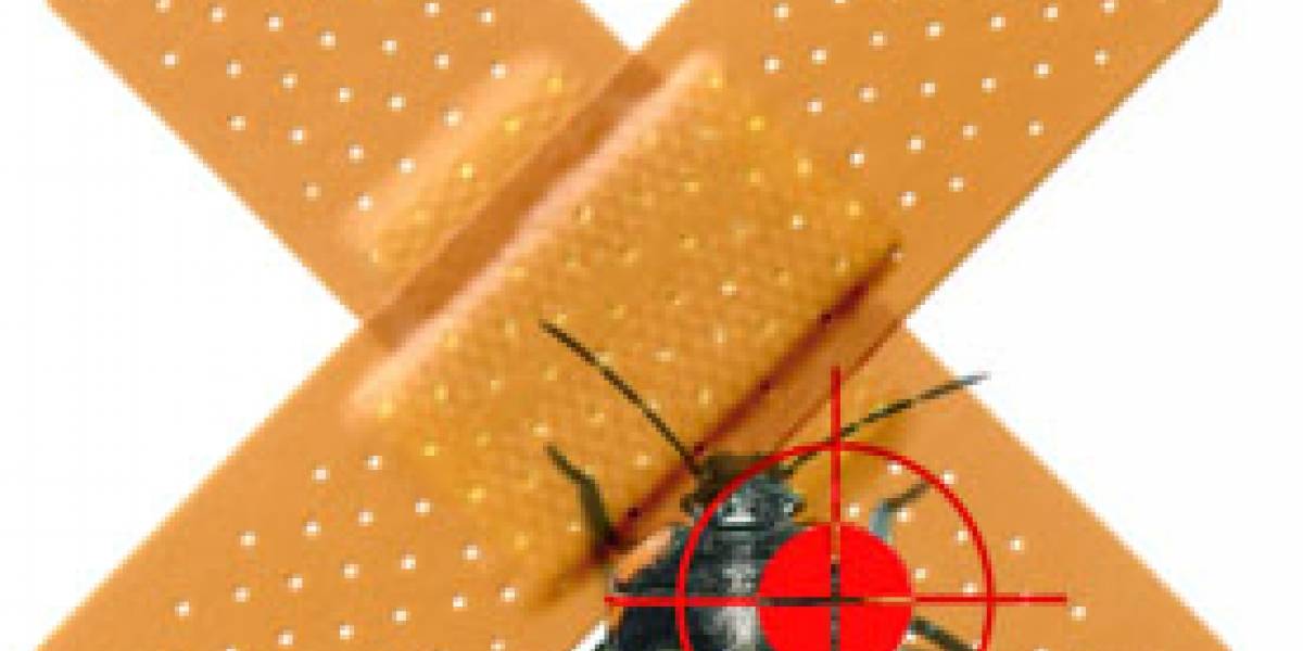 Microsoft dice que no pagará por bugs descubiertos